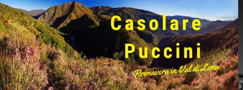 Ferienwohnung Casolare Puccini Bagni di Lucca Exterior foto
